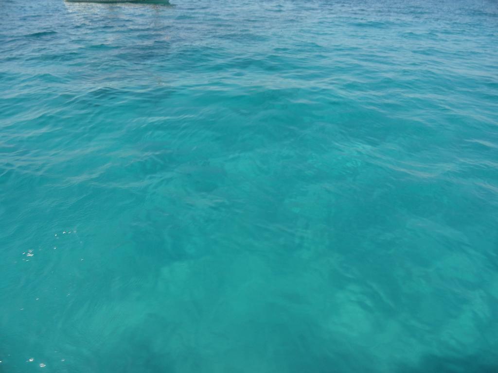 Casa Vacanze Laura Isola delle Femmine Bagian luar foto